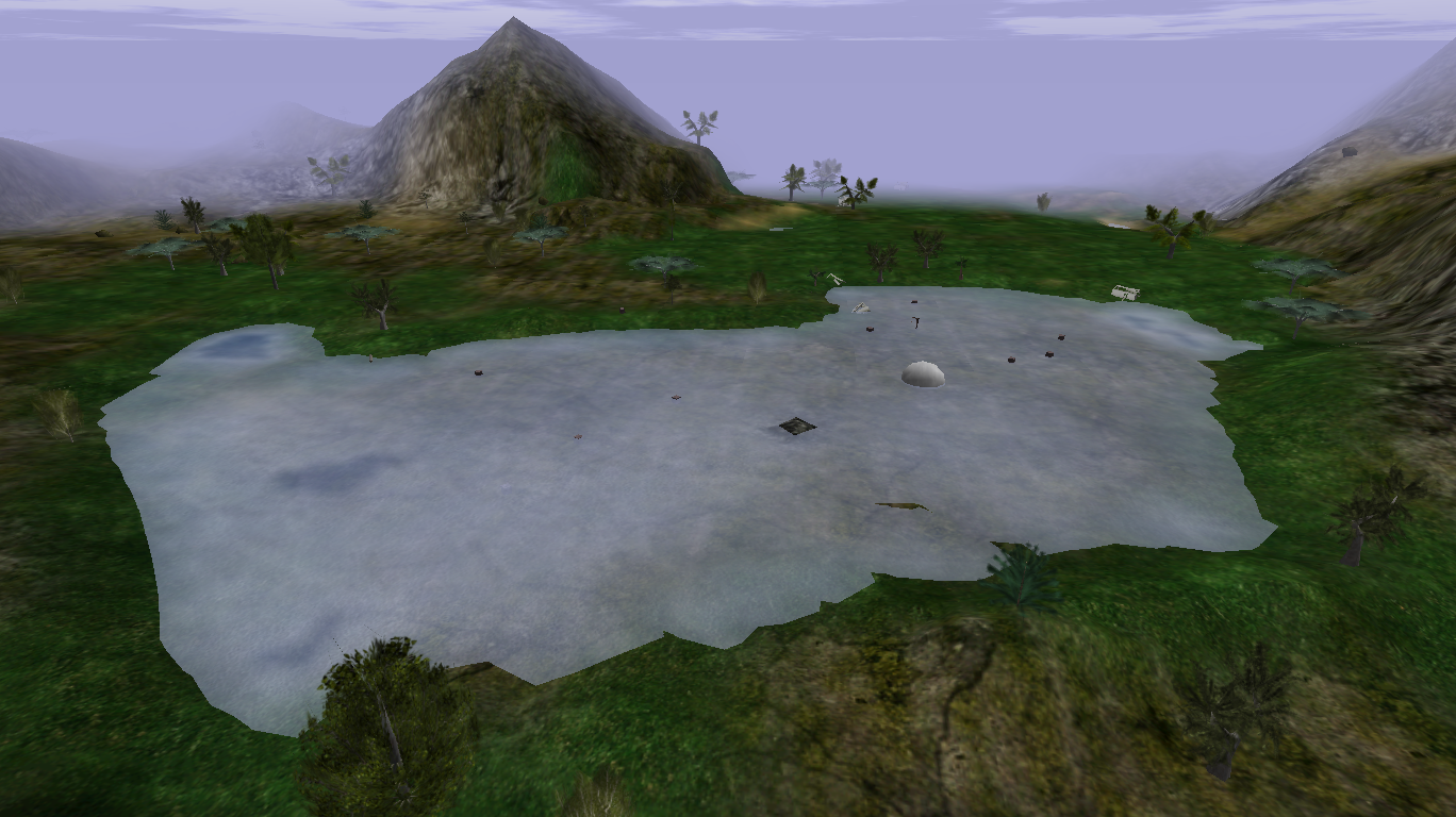 Swamp viewed from above