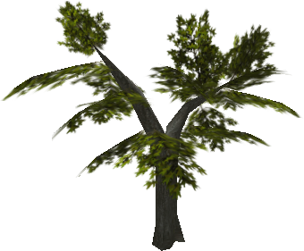 Oak Sharp_Oak02